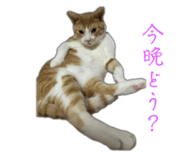 764864969