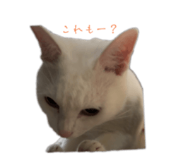 764864989