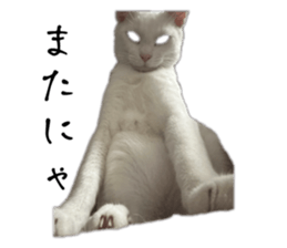 764864990