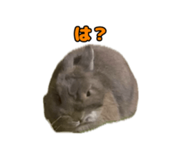 764868169