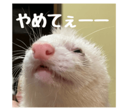 764868228