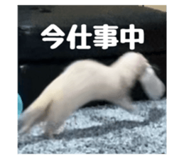 764868231