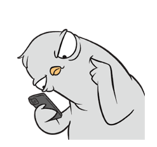 764871205