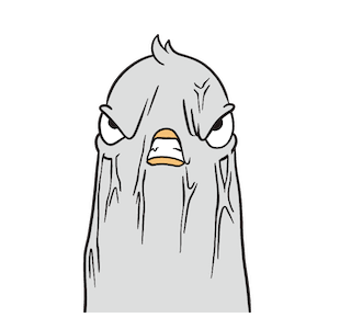 BirdFam : Jhoni รูปที่ 14
