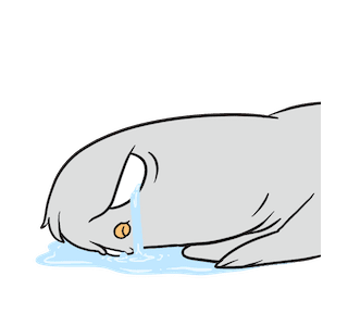 BirdFam : Jhoni รูปที่ 15