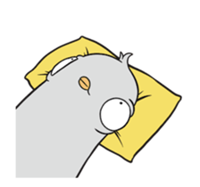 764871213