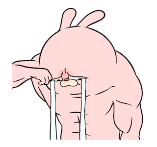 Rabbitfam : Setrong รูปที่ 16