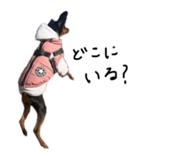 764871667