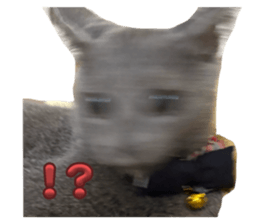 764882923