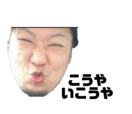 764885455