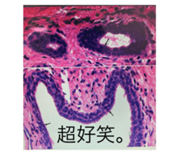 764894042