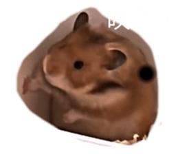 764894872
