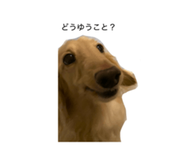 764932537