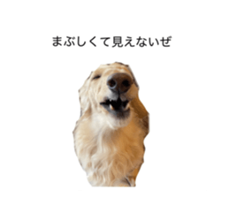 764932538