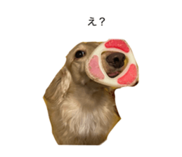 764932539