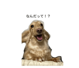 764932542