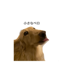 764932543