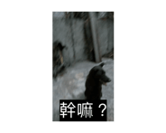 764960306