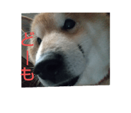 764997169