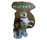 764997170