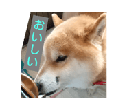 764997174