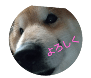 764997175