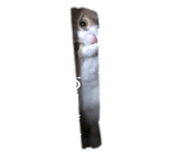 765000381