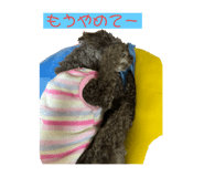 765011083