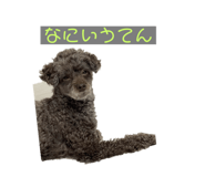 765011088