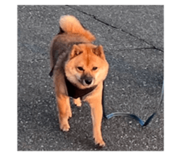 765012538