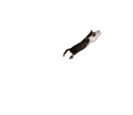 765016512