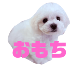 765017743