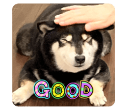 765018650
