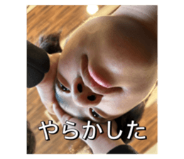 765024275