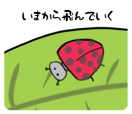 765072115