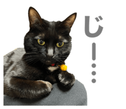 765073666