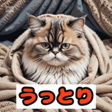 765082414