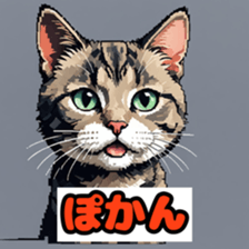 765082430