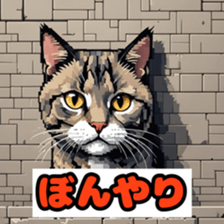 765082436