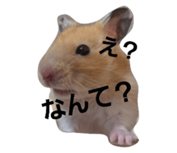 765083336