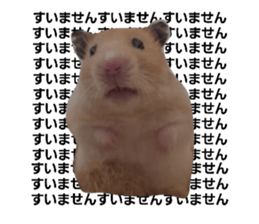 765083341