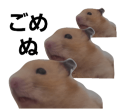 765083342