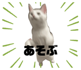 765084026