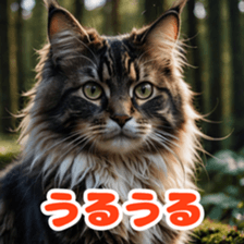 765086162