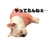 765129817