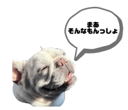 765129823