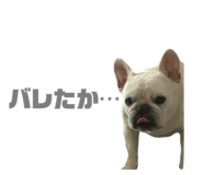 765129831