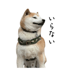 765138337