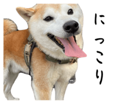 765138342