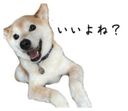 765138353